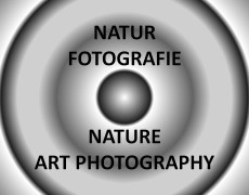 Nature Art Photography
